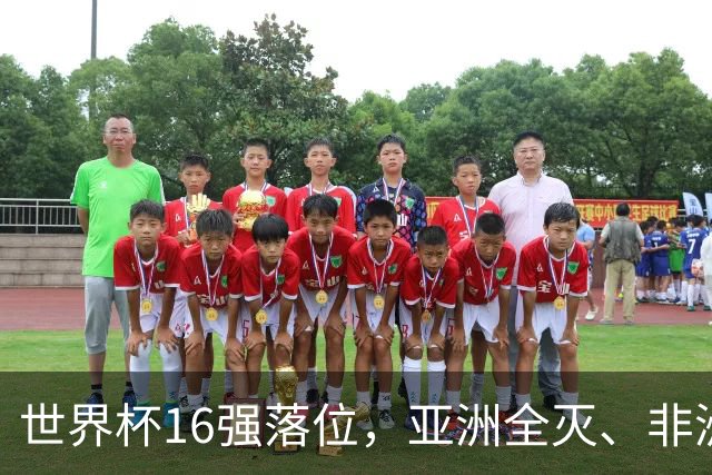 世界杯16强落位，亚洲全灭、非洲队锐减，多场重磅对决来袭